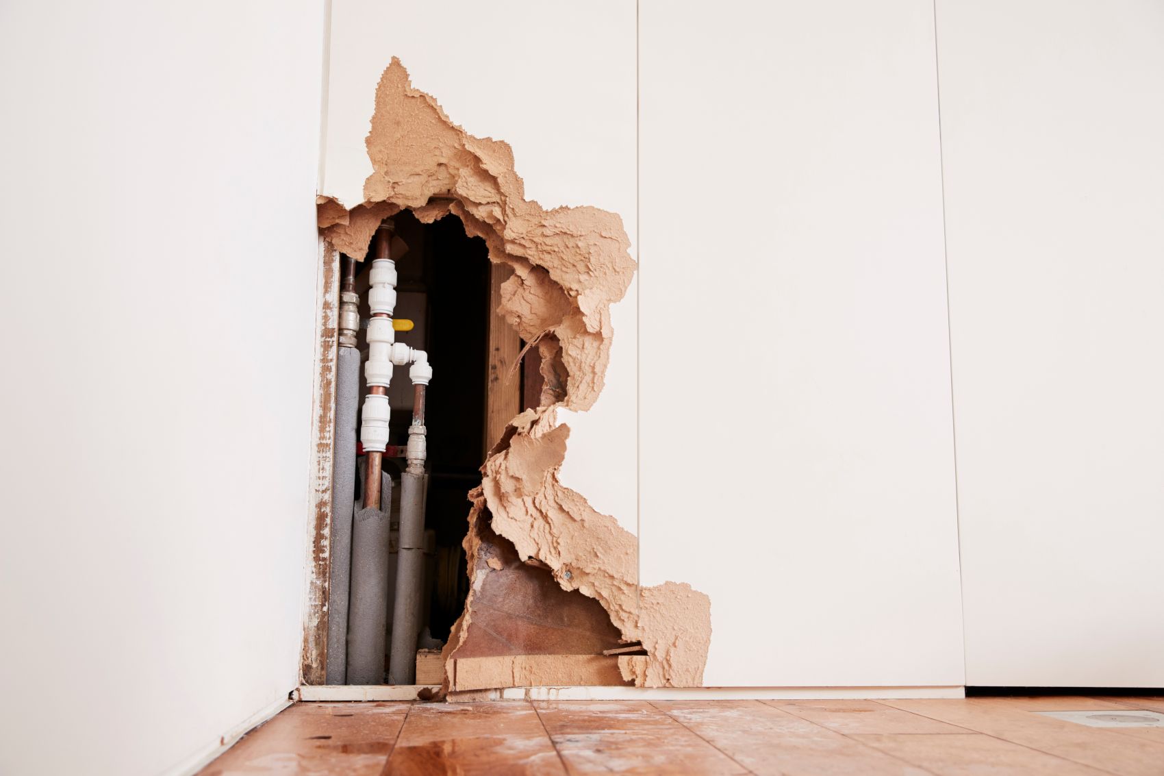 Walker's Termite & Pest Control